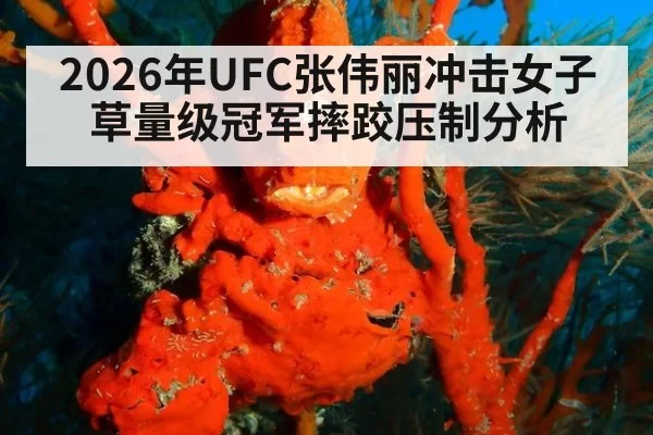 2026年UFC张伟丽冲击女子草量级冠军摔跤压制分析
